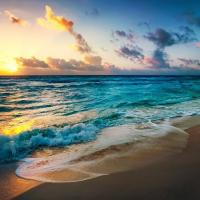 Blue Ocean Soap