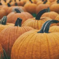 Caramel Pumpkin Soap