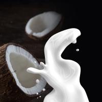 Vanilla Coconut Lotion Bar