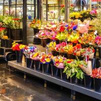 Shave Soap, Flower Shop