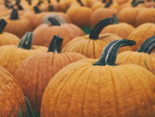 Caramel Pumpkin Soap