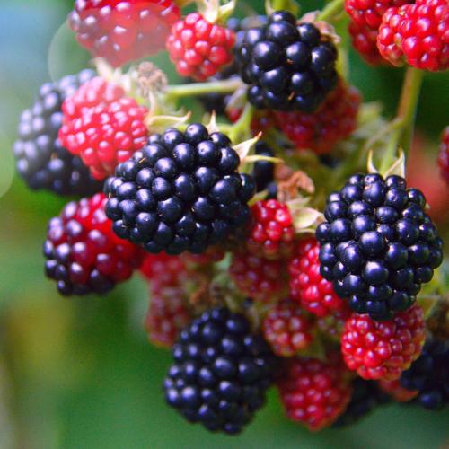 All Over Lotion, 4.5oz size