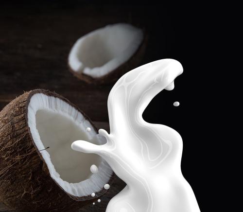 Vanilla Coconut Lotion Bar