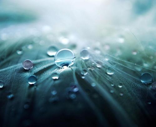 Spring Rain Body Wash