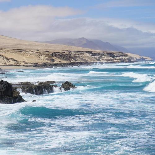 Coastal Soap