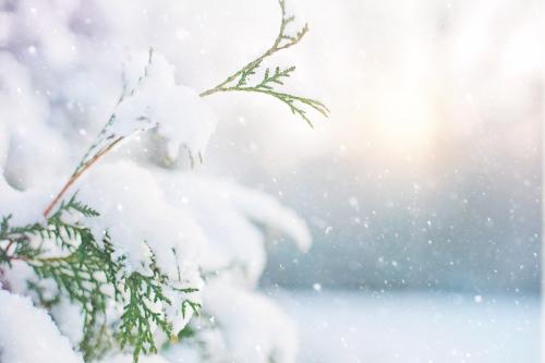 Snow Flurries Jar Candle