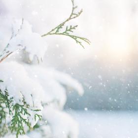 Snow Flurries Jar Candle